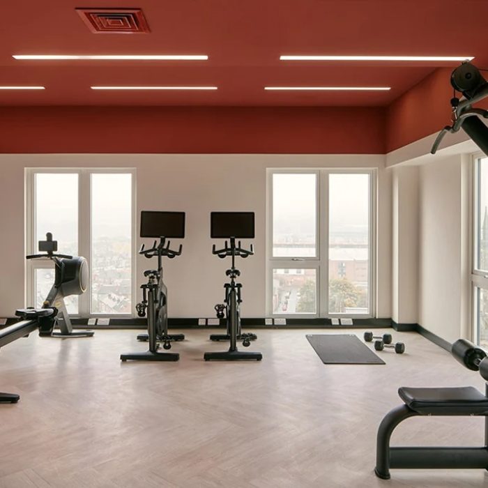 Platform Gym
