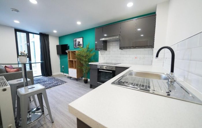 Sellers Wheel, Apt 3, kitchen